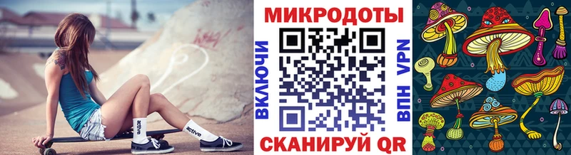Галлюциногенные грибы Psilocybine cubensis  Березники 